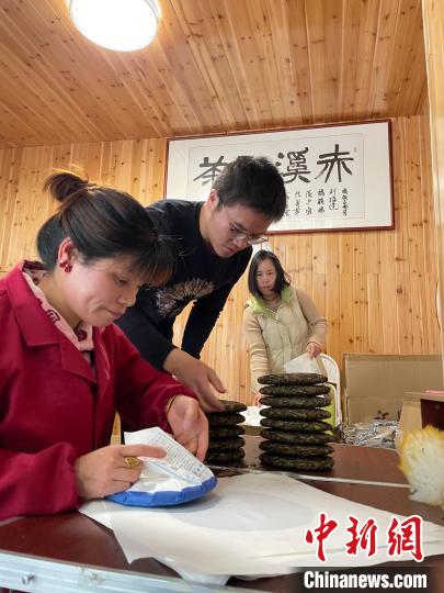 資料圖：杜贏(左二)在整理白茶餅?！×执阂?攝